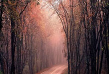 爱游戏AYX：时隔两月上线！广州队求贤若渴不谈冤屈，推广自家足校精英免费.