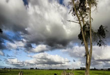 冰雪之约丨“中国香港队嘎嘎的”央视新闻客户端.