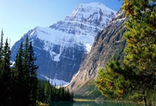 爱游戏AYX：巴媒：巴西队训练中排出4前锋首发 皇马双边锋+拉菲尼亚+萨维尼奥.