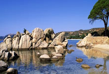 小因扎吉：正是得益于为我投票的同行，我才始终努力提升自己.